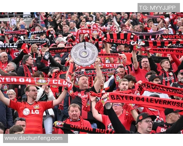 拜仁新援强化中场实力再夺欧冠？